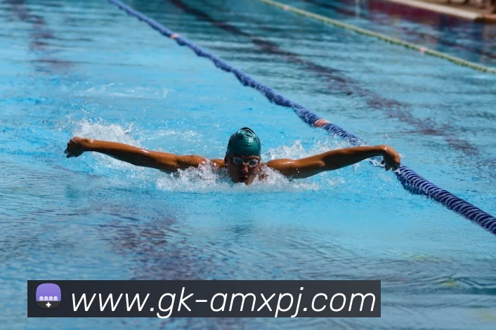 澳门新葡京娱乐平台生态图